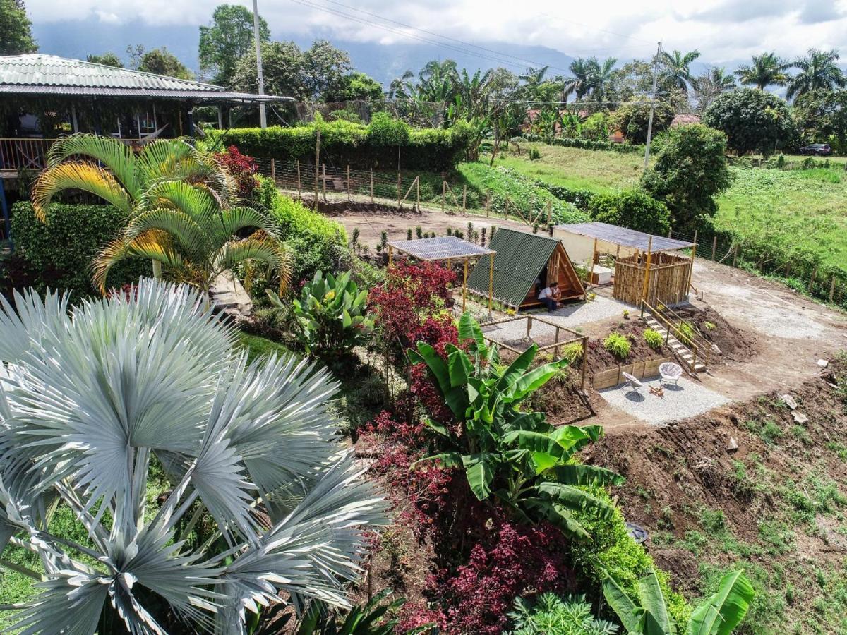 Villa Alejandra Del Quindio Calarcá Dış mekan fotoğraf